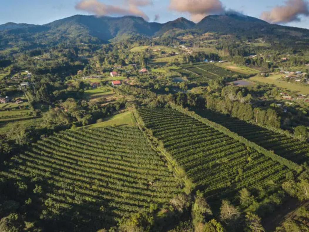 Coffee Garden Ranch Costa Rica Apartment Concepcion  Exterior photo